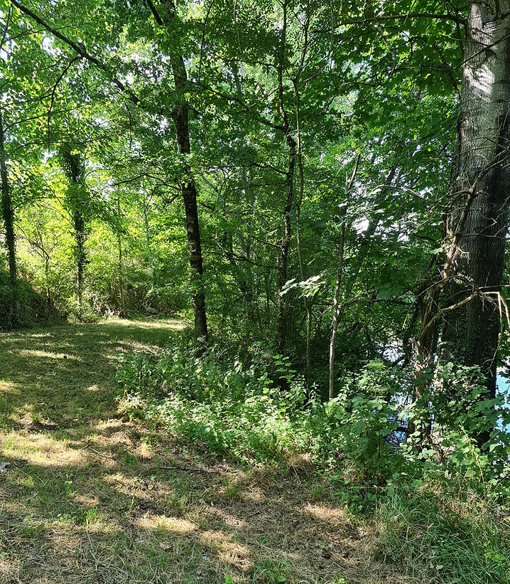 20220730_175636_edited.jpg