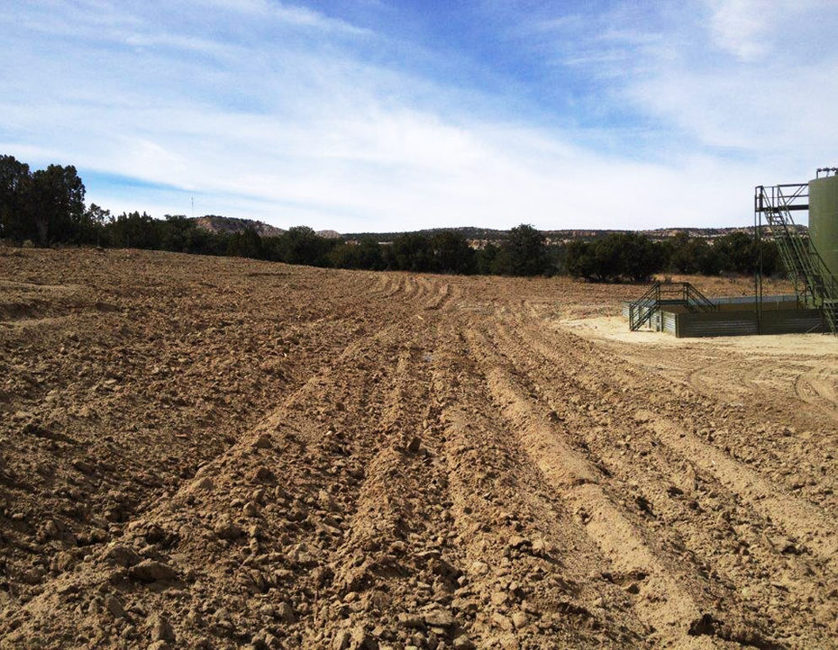 Reclamation along wellsite