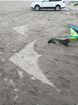Sport Kite Camp Long Beach, June 2022 