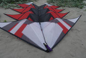 Sport Kite Camp Long Beach, June 2022 