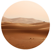 sportkite.org (7).png