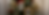 pet header.png