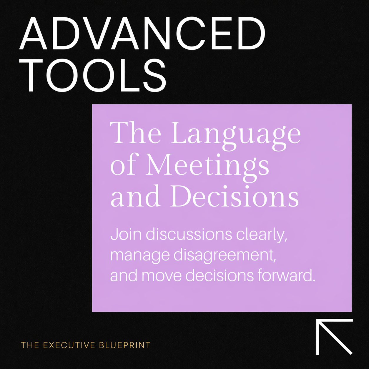 Advanced Tools – The Language of Meetings and Decisions