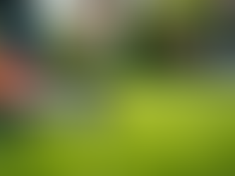 Essential Lawn Care Tools Every Homeowner Needs
