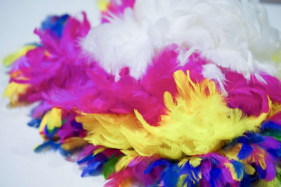 Feather Scarf