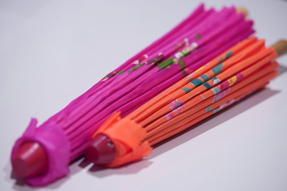 Japanese Umbrella