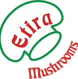 Etira partner berkat mulia