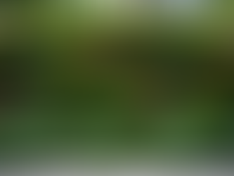 Desain Taman Cantik dengan Sistem Irigasi Sederhana yang Efektif