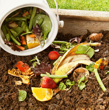 Compost