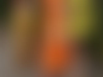 DIE SCHÖNSTEN SUMMER ACCESSORIES