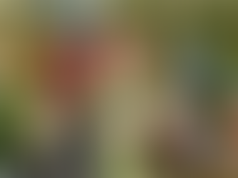 DRESS TO IMPRESS MIT ALICIA MINKWITZ