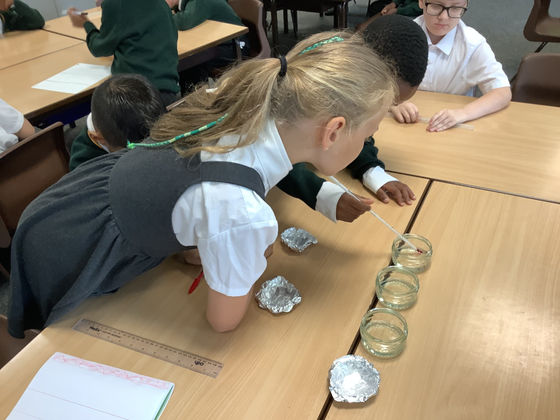 Year 4 Science investigation!