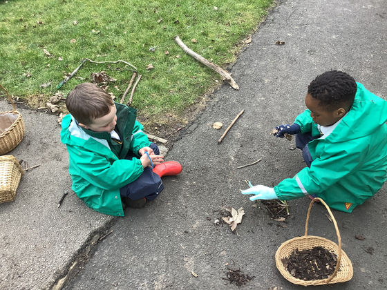 Making a bird's nest!