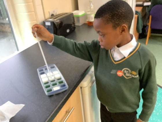Year 4 investigate changing state