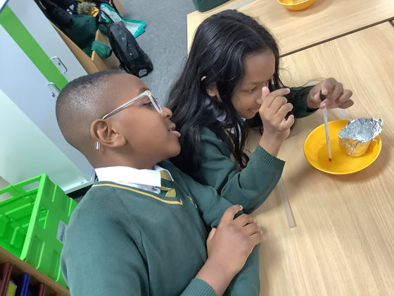 Year 4 Scientists!