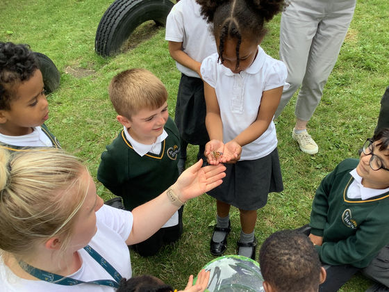 EYFS pet caterpillars