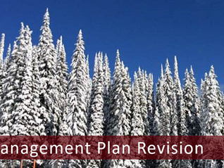 Lolo N.F. Plan Revision