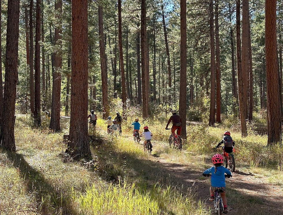 Take A Kid Mountain Biking 