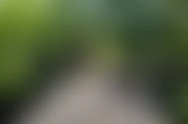 The Alarming Lack of Inclusion Towards People with Disabilities