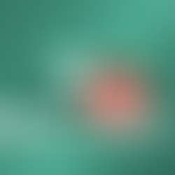 ⚡️ TRC20, BEP20 и ERC20: разбираемся в стандартах криптовалютных токенов