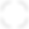 bx_bxs-check-circle (2).png