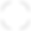 bx_bxs-check-circle (2).png