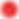 bx_bxs-check-circle (1).png