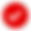 bx_bxs-check-circle (1).png