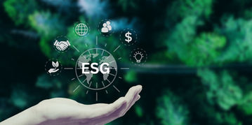 Forest with hand holding ESG elements.