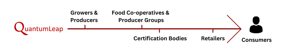 The QuantumLeap Value Chain