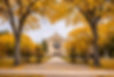 Historic church framed by autumn trees in Winnipeg.