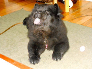 What I Did on My Summer Vacation