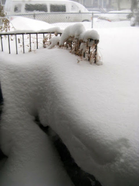 IMG_1996-2011-02-2-09-52.jpg