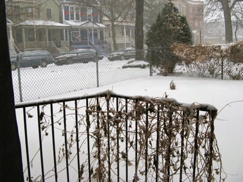 IMG_1981-2011-02-2-09-52.JPG