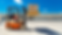 Untitled design-15.png