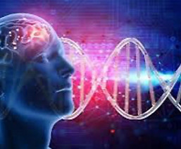Neurogenomics.jpeg