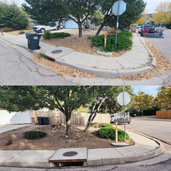 Before & after curb cleanup: leaf‑filled, messy corner cleared to reveal a neat, debris‑free, tidy c