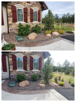 Before and after of rock‑bed landscape: shrubs and ornamental trees tidied up in a thorough spring c