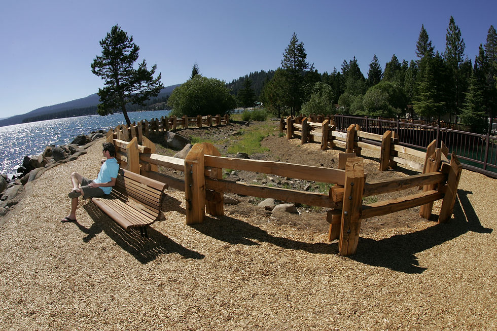 Landscape Lake Tahoe - 8-25-06-123
