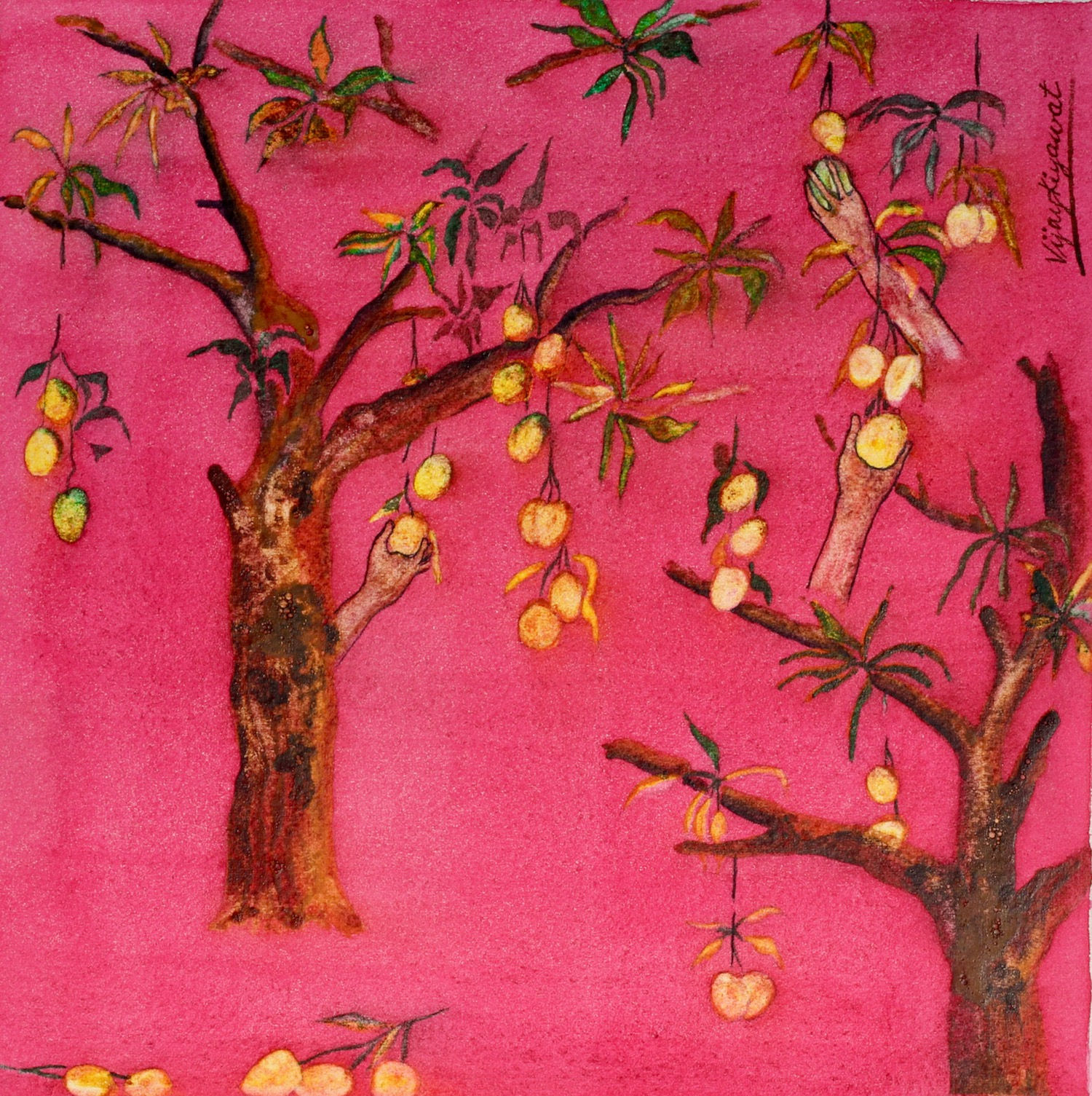 Padm Leshya, (vk-255)