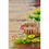 Thumbnail: Dream Garden-32, (vk-297)