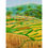 Thumbnail: Punakha Dancers, (vk-296)