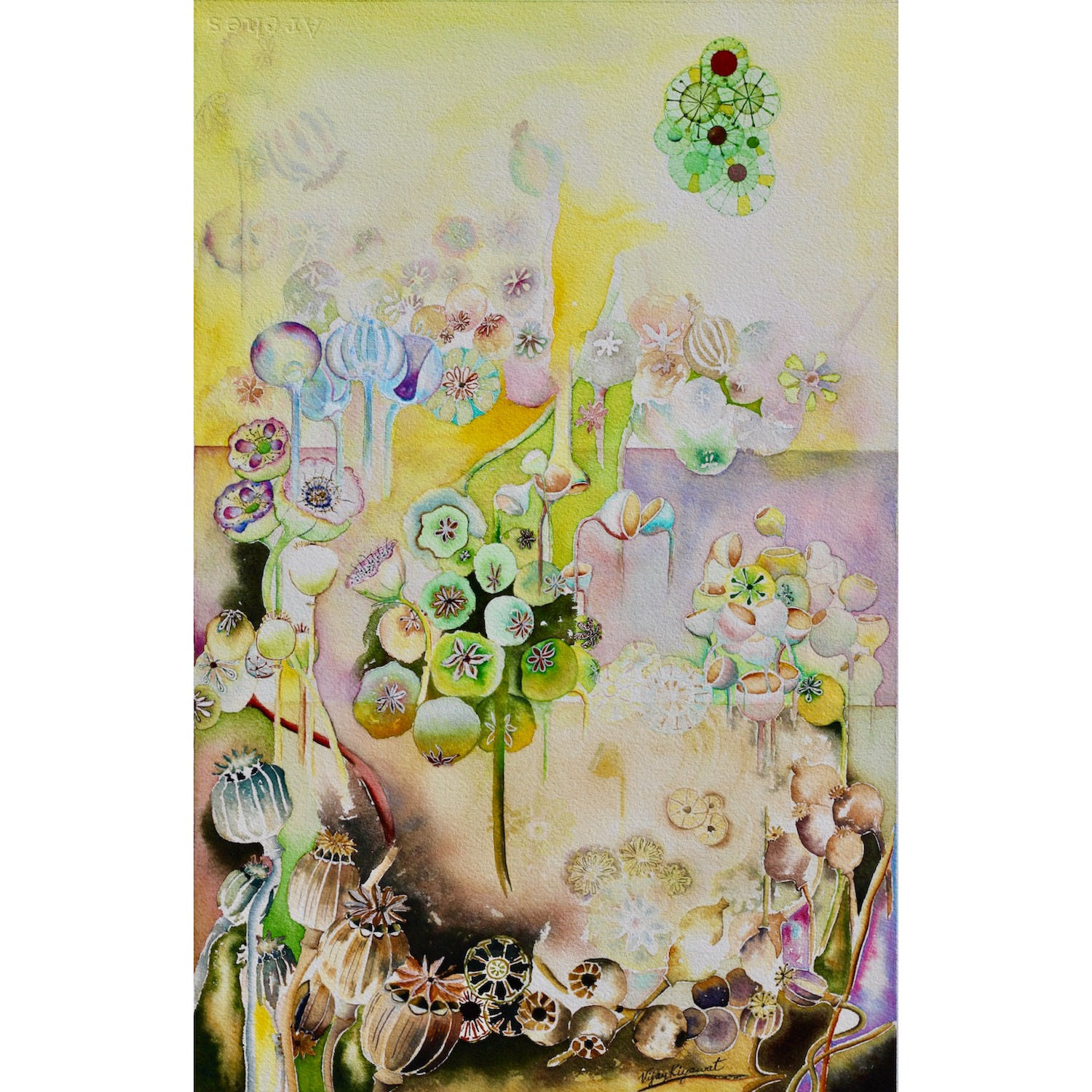 Meditation-45, (vk-238)