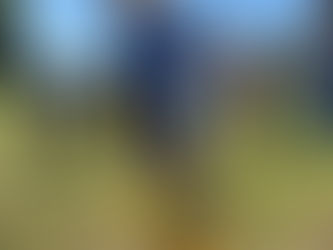 A summer to remember