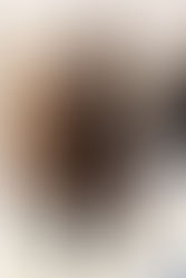 My 5 Favorite Fall Trends of 2019