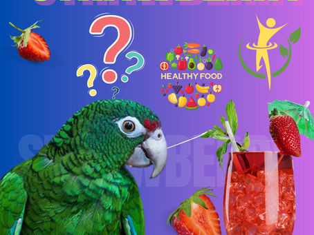 Are Strawberries Toxic For Parrots?