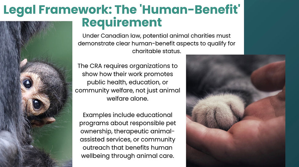 Image 2026-04-09 at 9.34 AM.jpeg