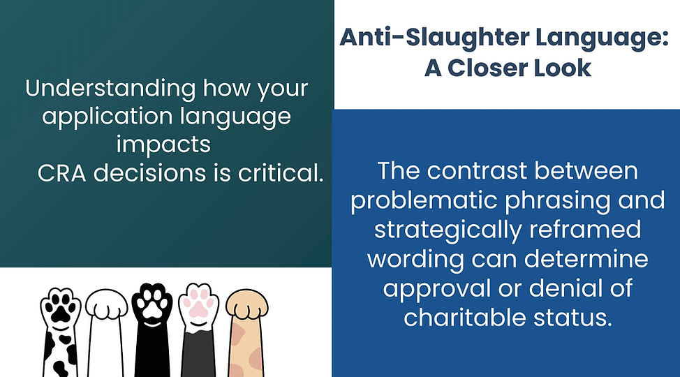 Image 2026-04-09 at 9.36 AM.jpeg