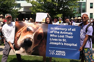 Secret Dog Experiment Vigil at St. Joseph's Hospital