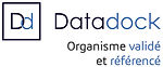 datadock drone process